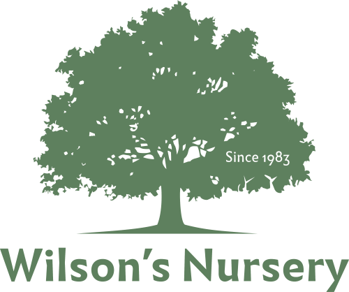 Wilson's Nursery, Inc. Logo